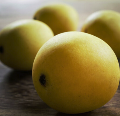 Marula Organic Carrier Oil | Bulk .png