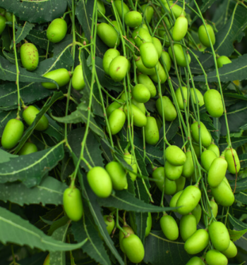 Screenshot 2026-01-14 at 11.24.28 AM.png