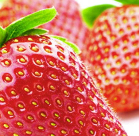 Screenshot 2026-01-15 at 9.39.35 AM.png