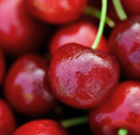 cherry.png