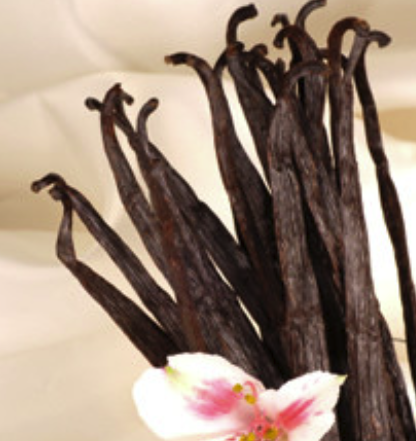 Screenshot 2026-01-15 at 10.17.28 AM.png