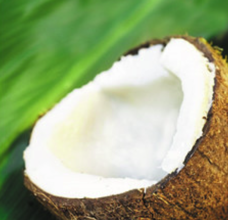 Screenshot 2026-01-15 at 10.19.56 AM.png