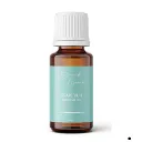 Grapefruit Blue.webp