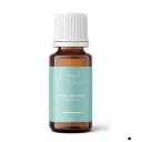 Sweet Orange Blue.webp