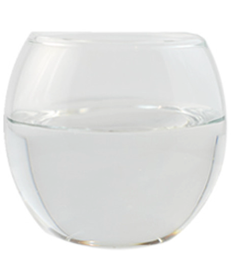 Olive Squalane | Bulk (10 g)