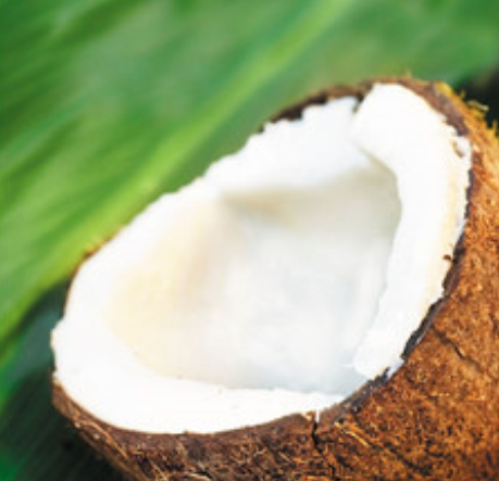 Coconut Lip Balm Flavour  | Bulk (50 ml)