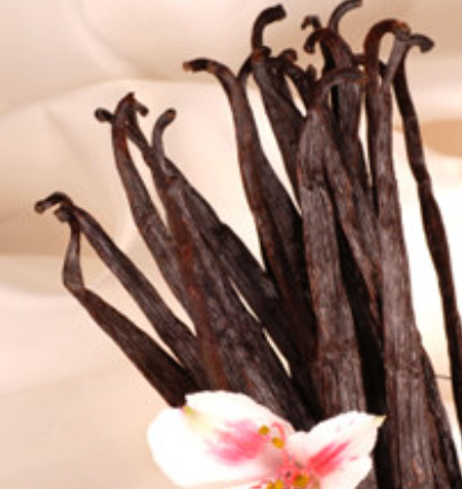 Vanilla Lip Balm Flavour  | Bulk (50 ml)