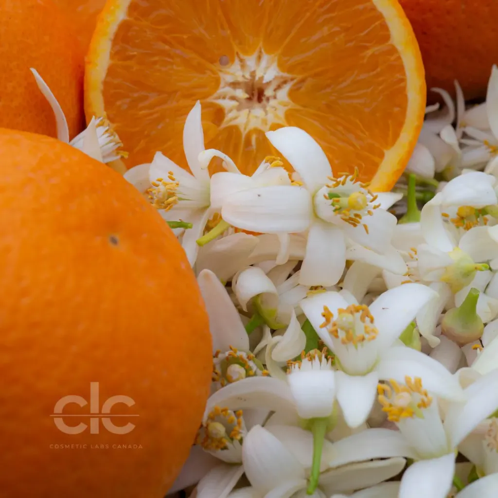 Orange Blossom + Marshmallow Fragrance Oil | Bulk (100 mL)