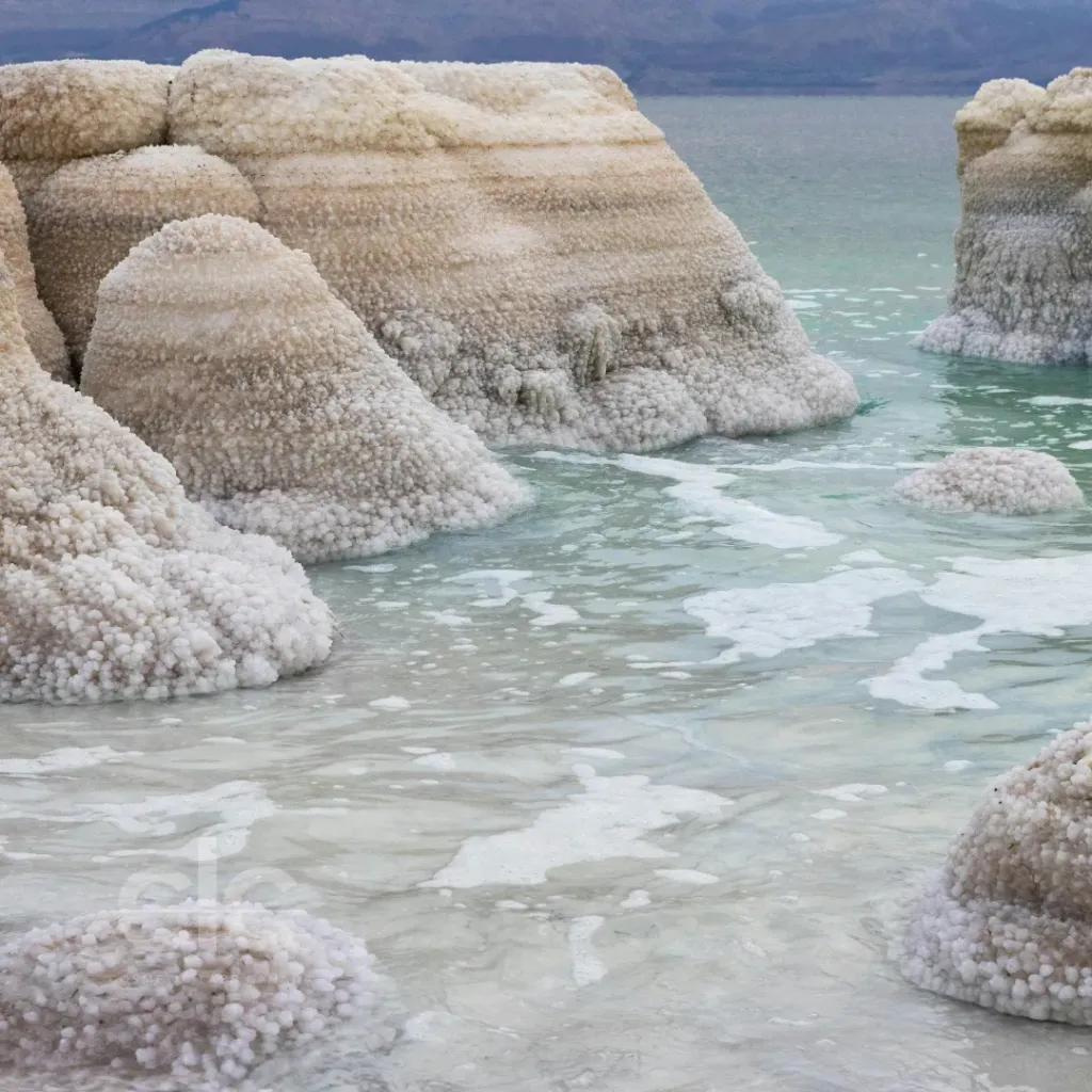 Wood Sage + Sea Salt Fragrance Oil | Bulk