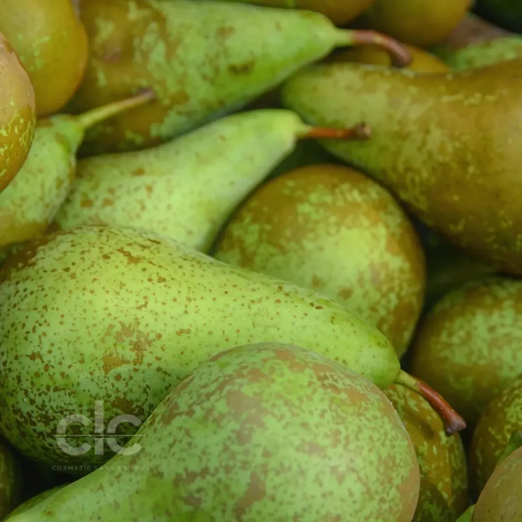 Green Tea & Pear Fragrance Oil | Bulk