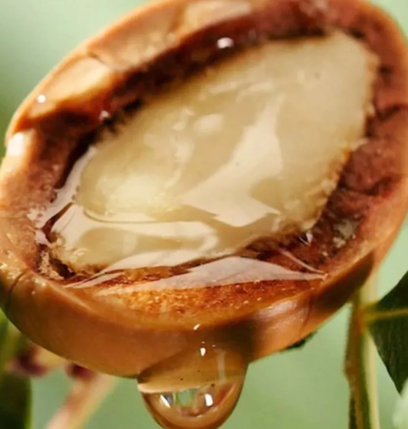 Argan Carrier Oil - Cosmetic Grade - Refined | Bulk