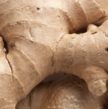 Ginger Root Essential Oil - Fresh| Bulk (100 mL)